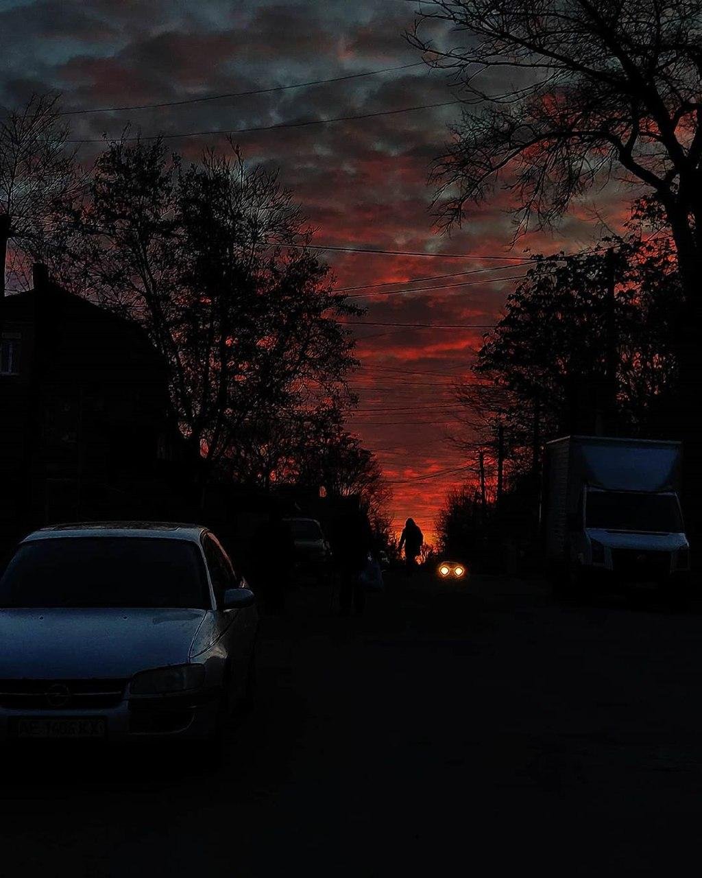 Фото: nester.photohunter Фото: nester.photohunter