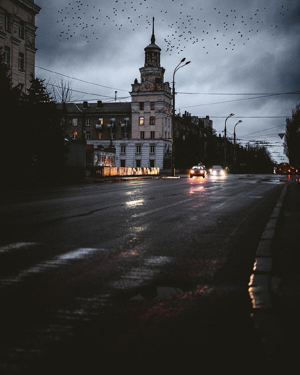 Фото: artemlazarev_ph Фото: artemlazarev_ph