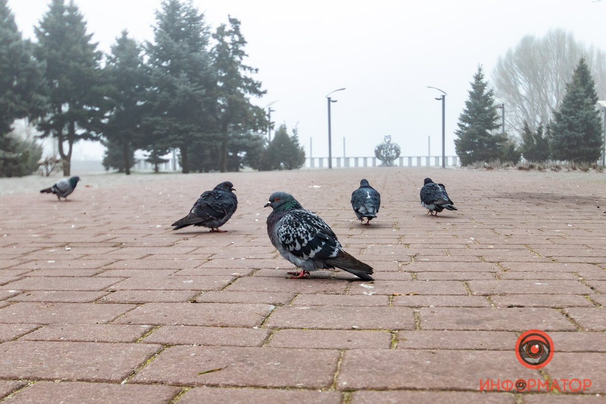 Не особо понимают, что происходит на улице