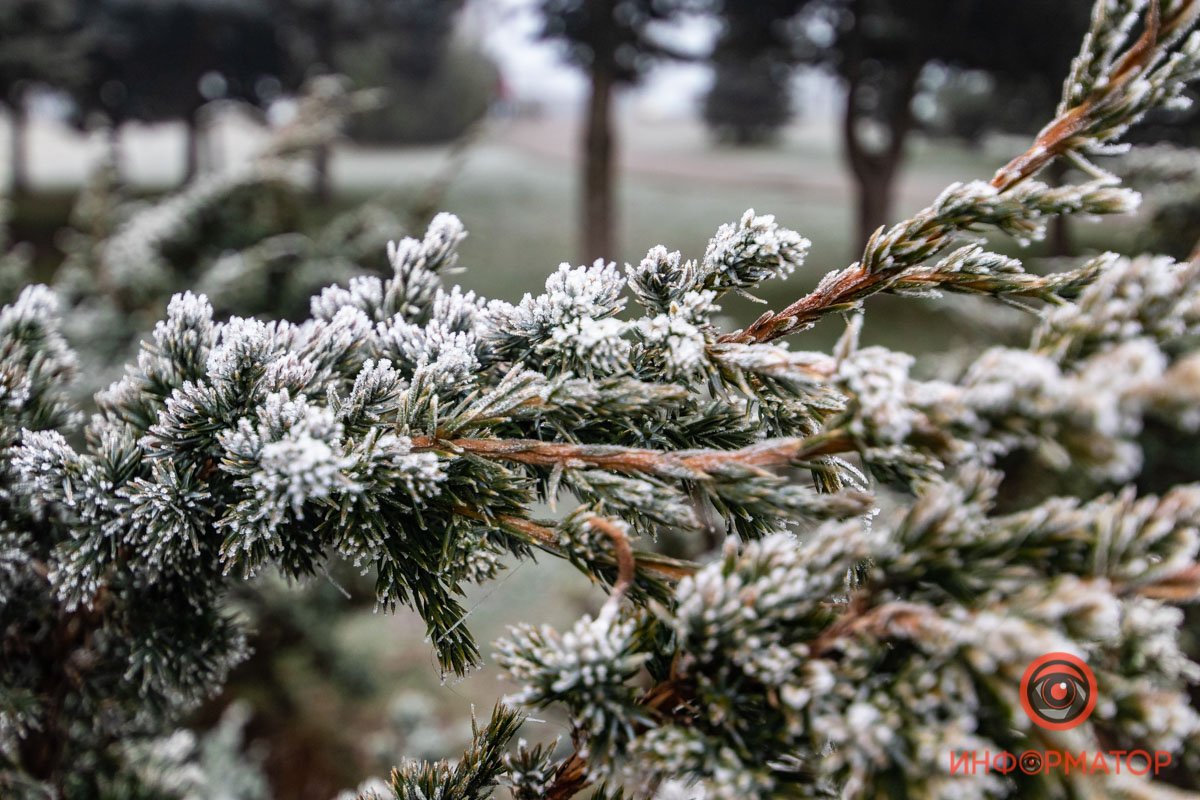 Фотографируем снег, чтобы хоть где-то он был