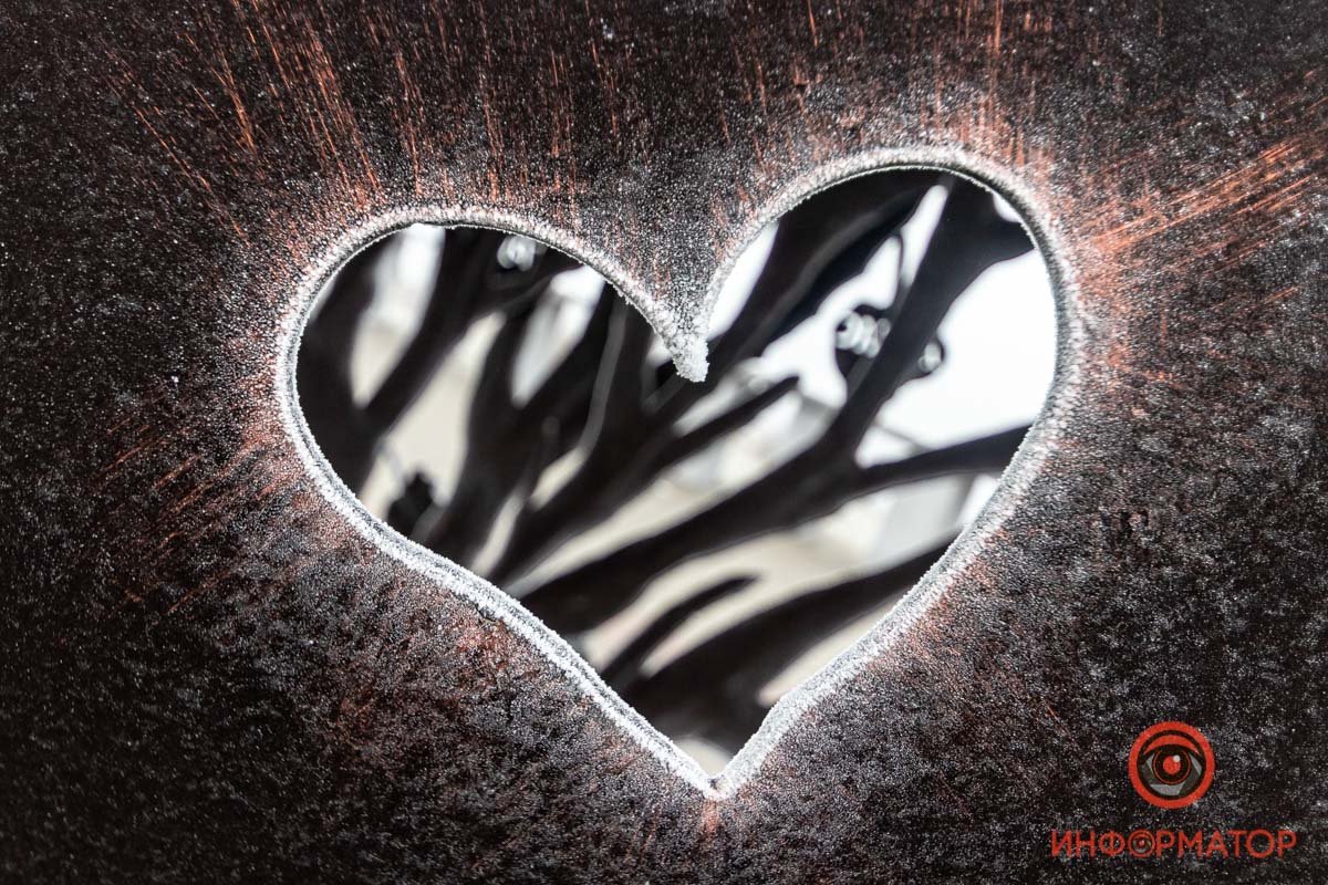 Love is... отправлять фотографов искать снег