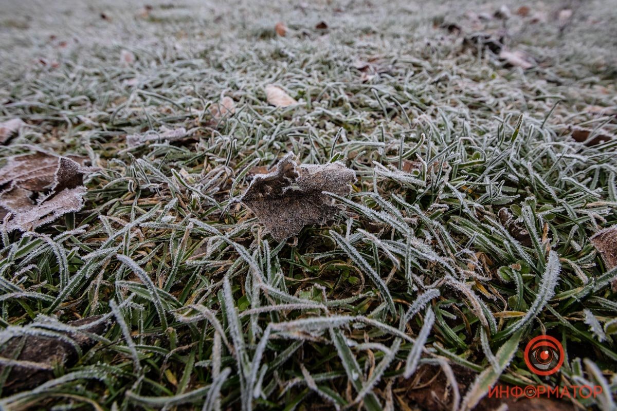 Извини, листочек, ты зря опал этой осенью