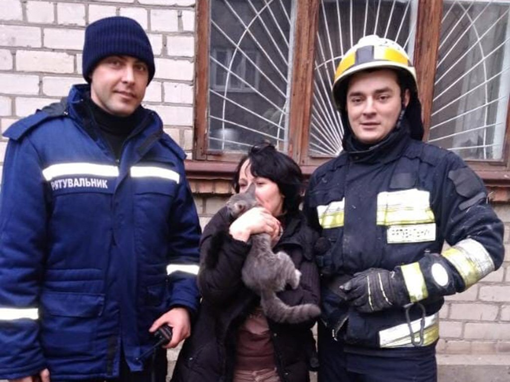 К счастью, за все время, проведенное в заточении, котик серьезных травм не получил