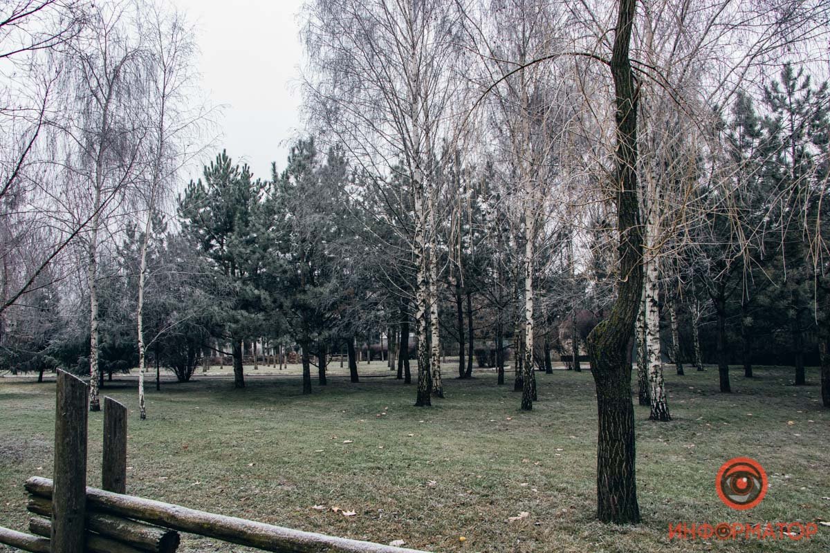 Сразу и не поймешь, какое время года запечатлено на снимке Сразу и не поймешь, какое время года запечатлено на снимке