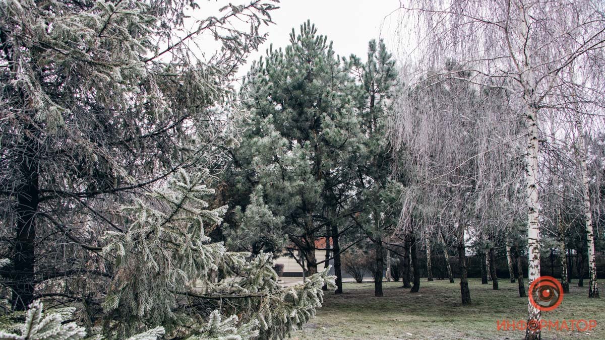 Тишина и спокойствие Тишина и спокойствие
