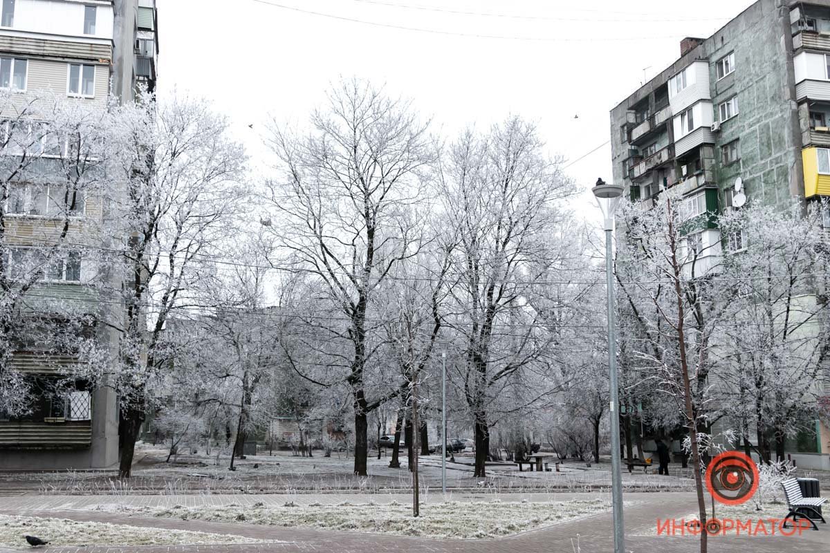 Зима разукрасила все в серый Зима разукрасила все в серый