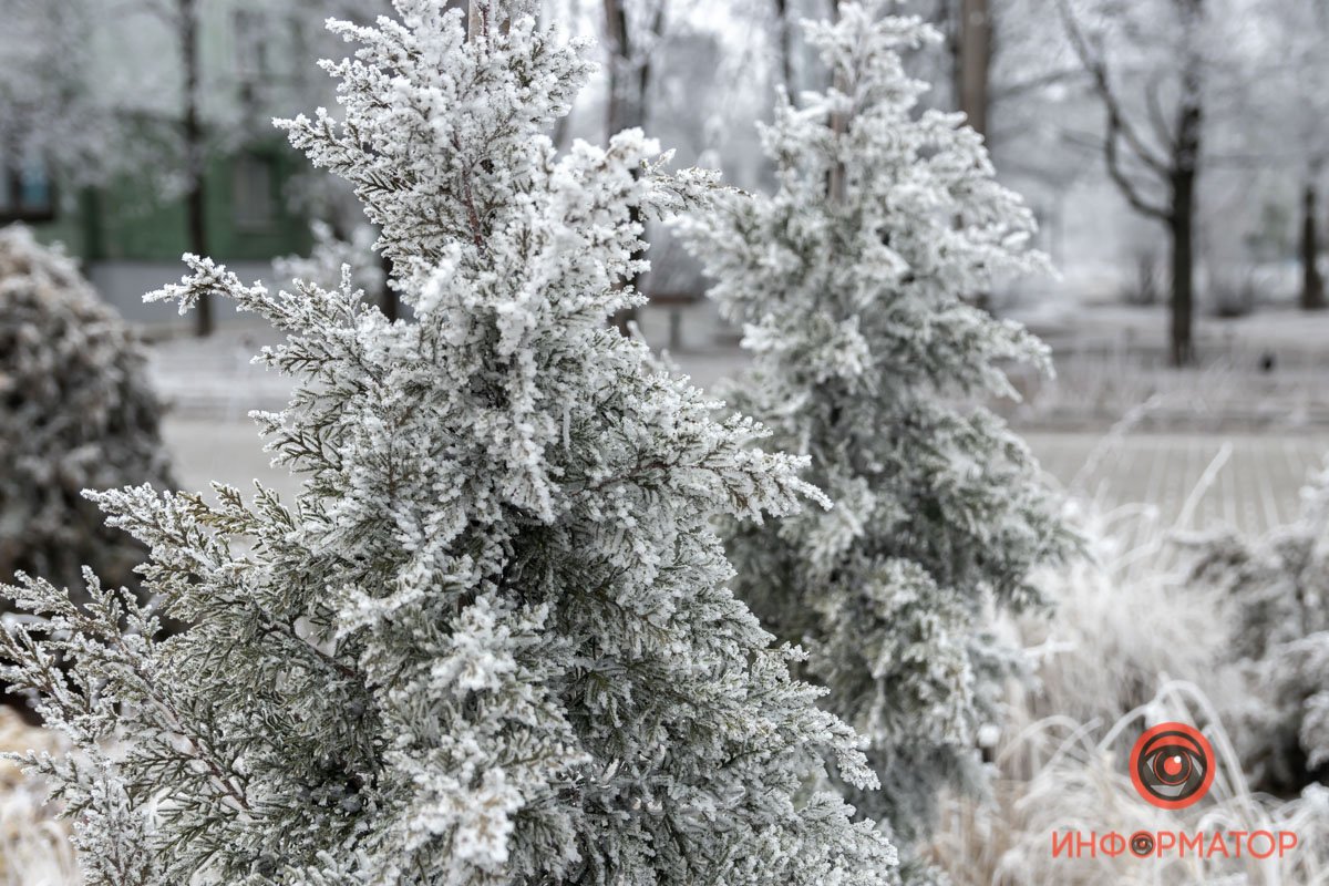 Снежные кустики Снежные кустики