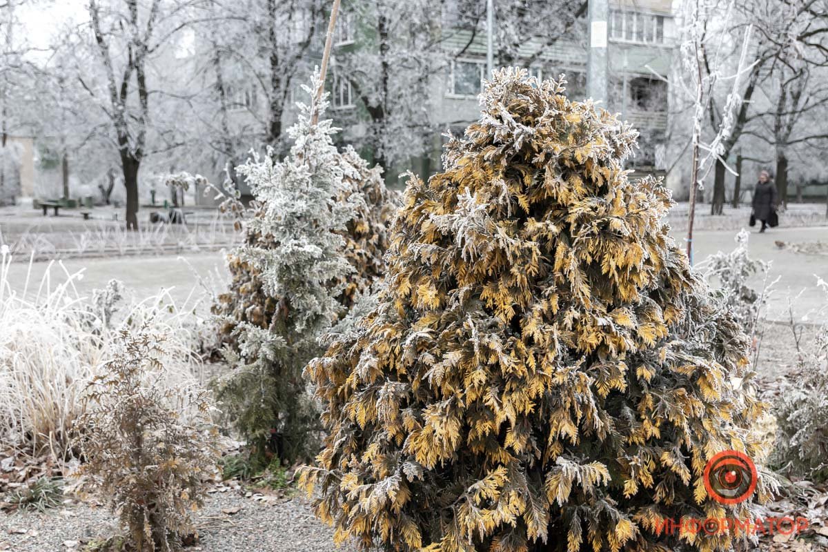 Все долго ждали зимушку Все долго ждали зимушку