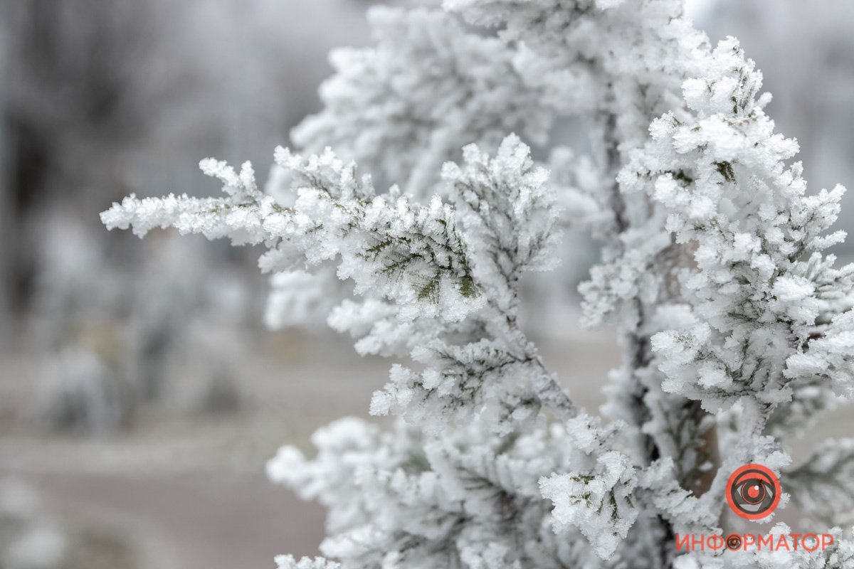 Наслаждайтесь зимой Наслаждайтесь зимой