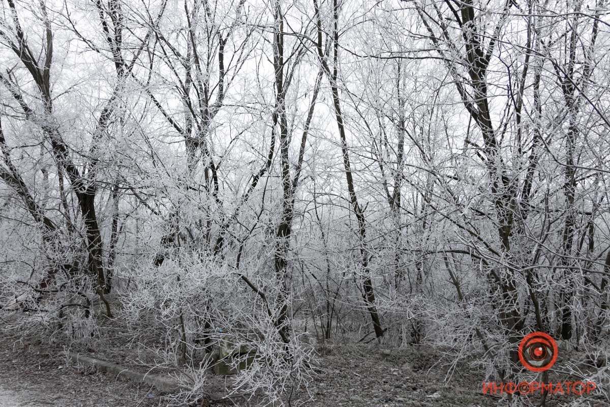 Белым бело Белым бело