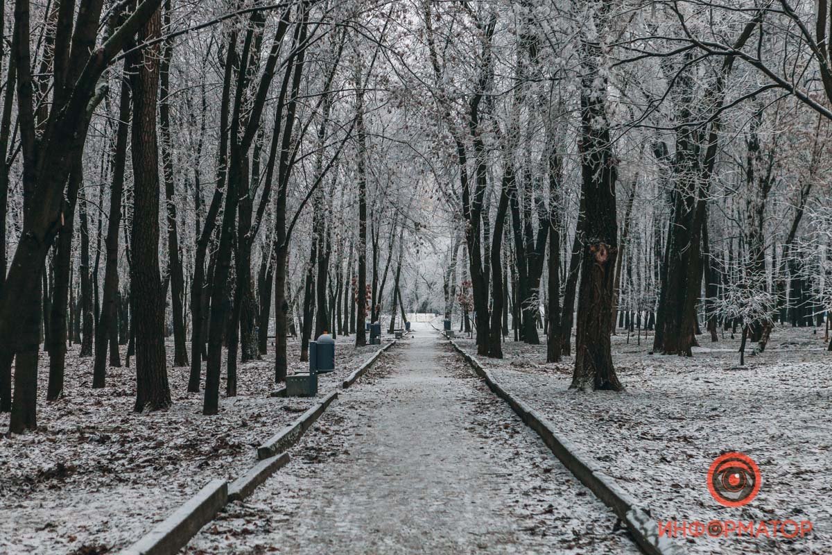 Скорее гулять! Скорее гулять!