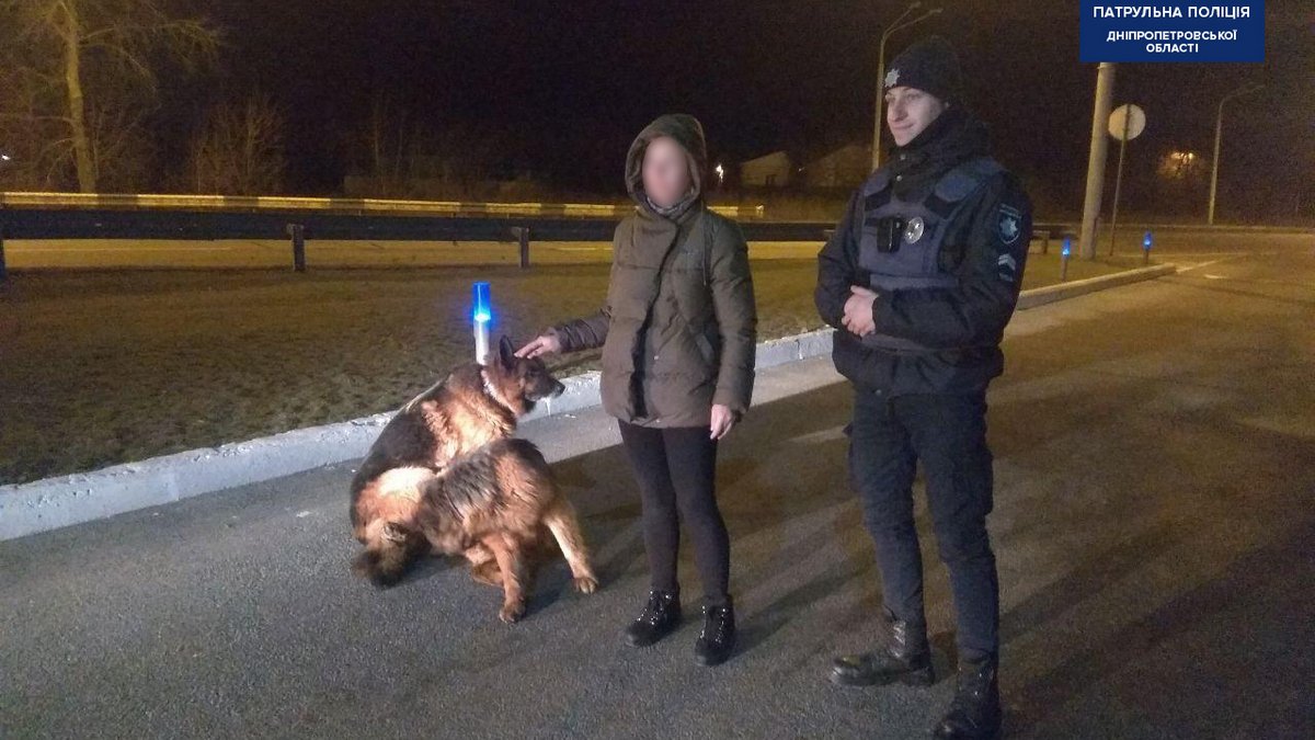 Хозяйка даже не знала, что ее любимцы сбежали из дома Хозяйка даже не знала, что ее любимцы сбежали из дома