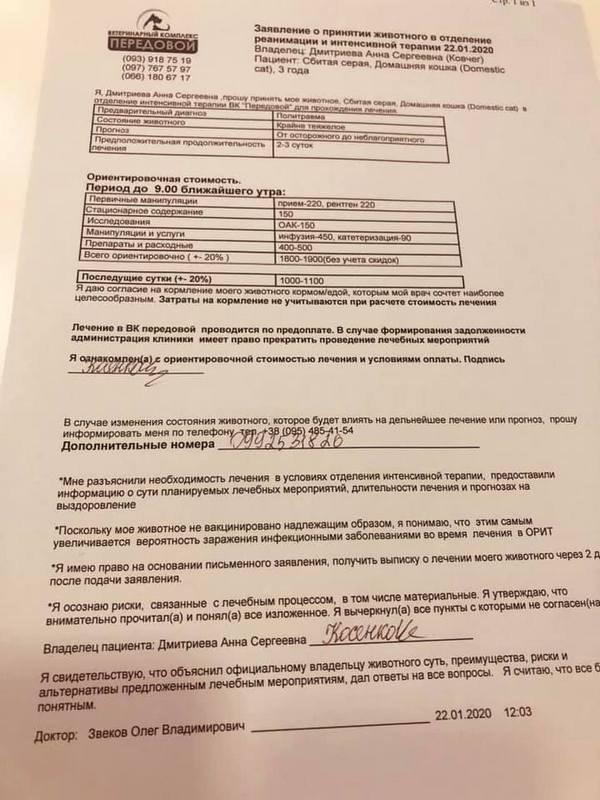 Лечение требует больших затрат Лечение требует больших затрат