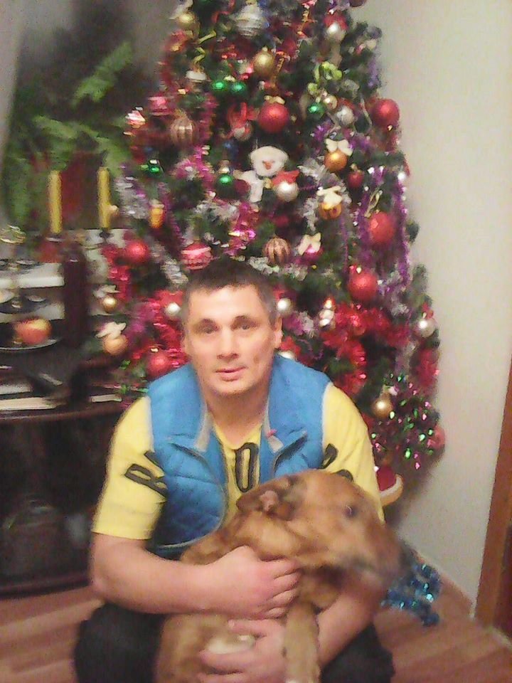 В Днепре пропало много животных: помогите найти 5