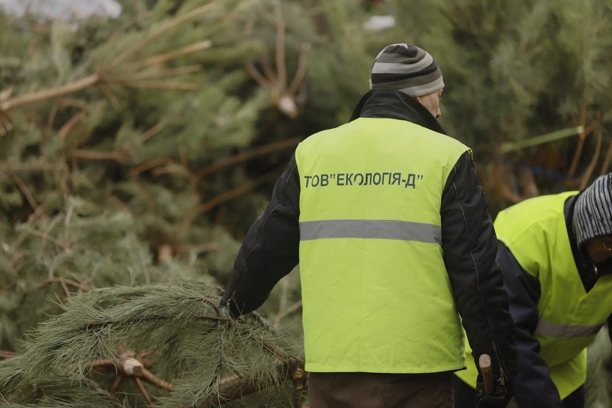 Утилизация елок - более экологичное решение