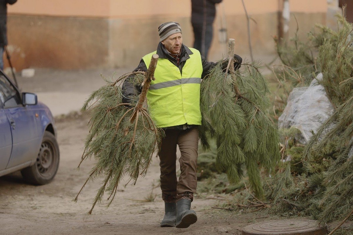 Из маленьких точек елки отправляются на базы переработки