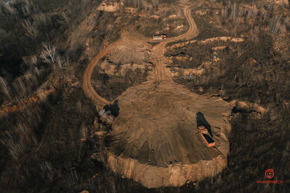 В карьере нашли древних моллюсков 