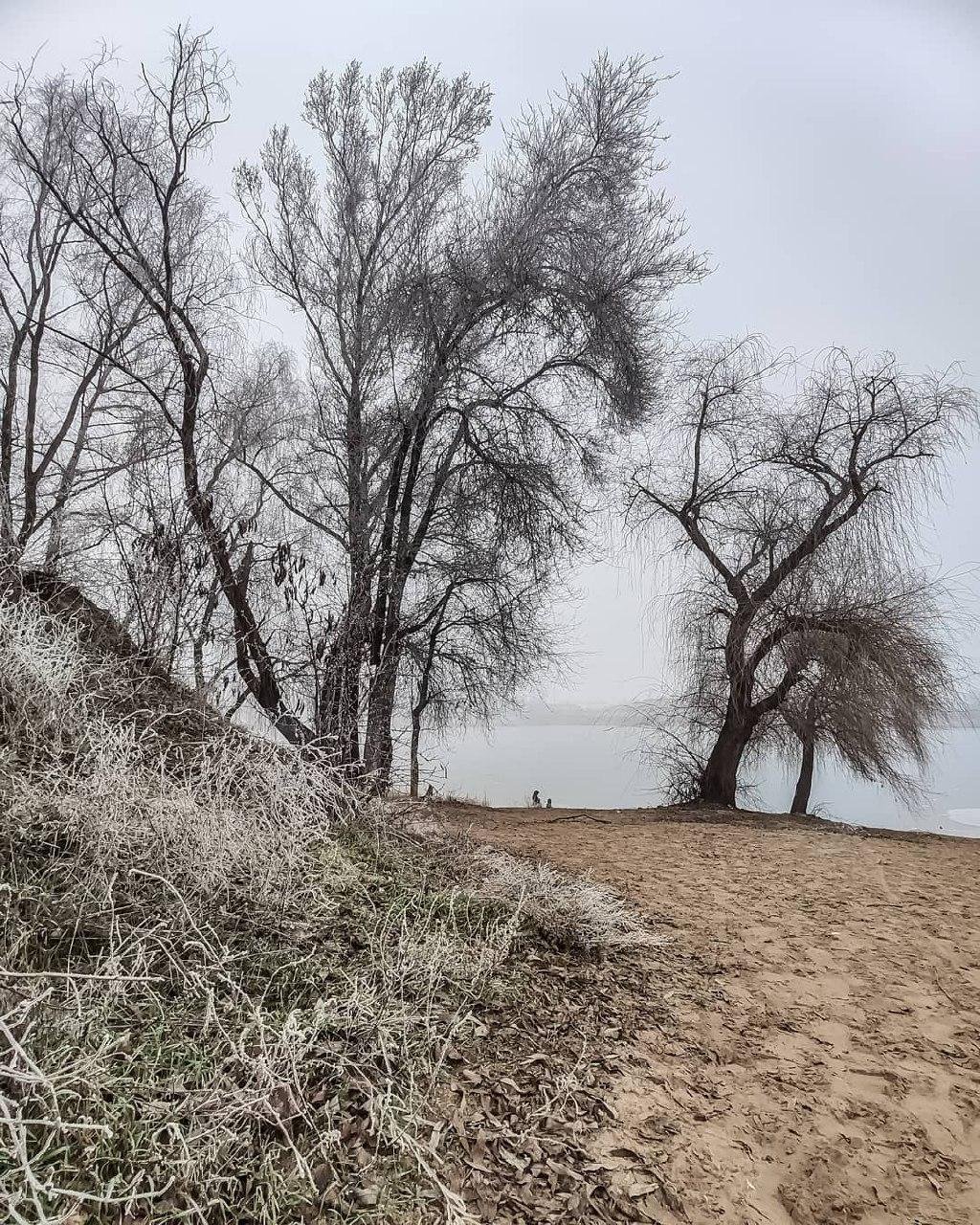 Фото: ruslan_seasoul