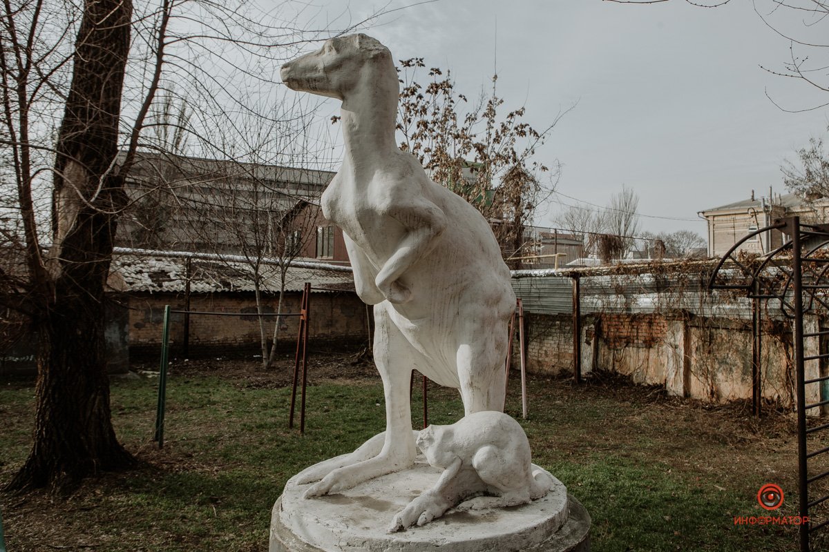 Легенды кенгуру