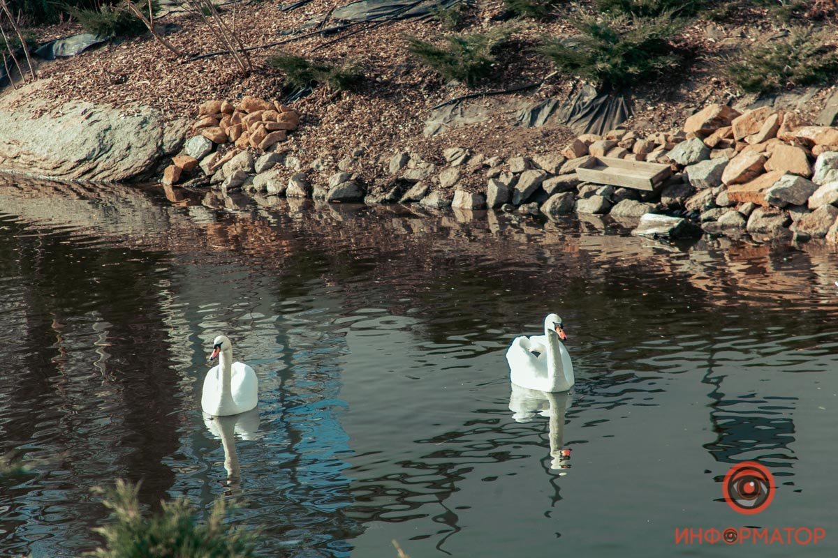 Романтика в деталях Романтика в деталях