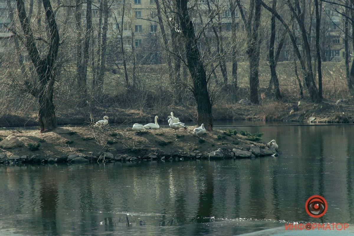 Сушка Сушка