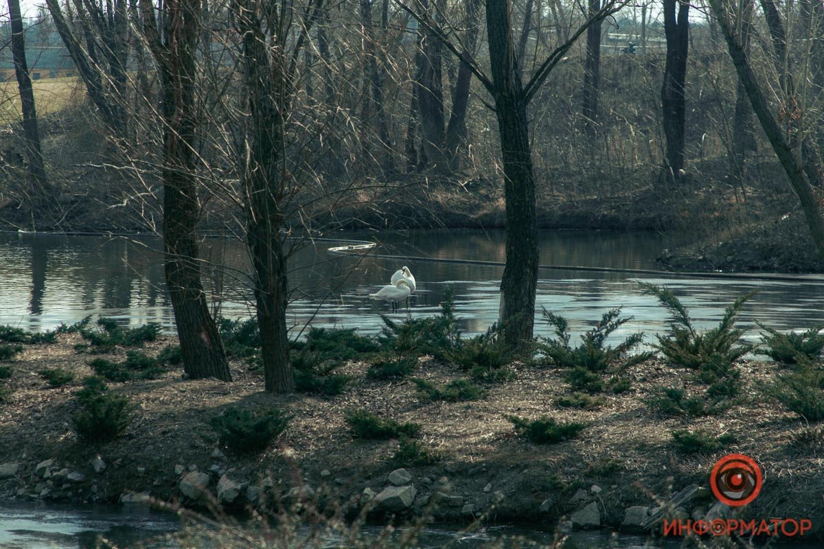 Календарь врет - сейчас март Календарь врет - сейчас март