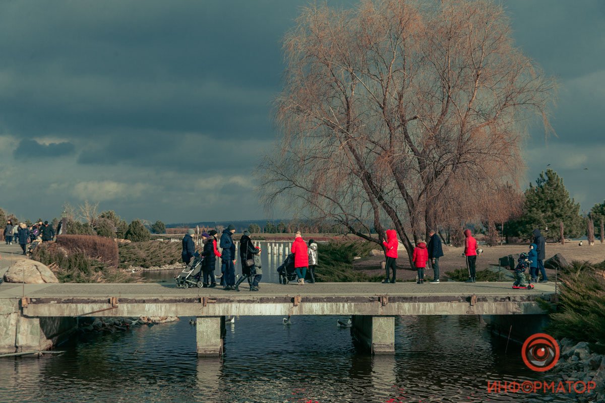 Много семей Много семей