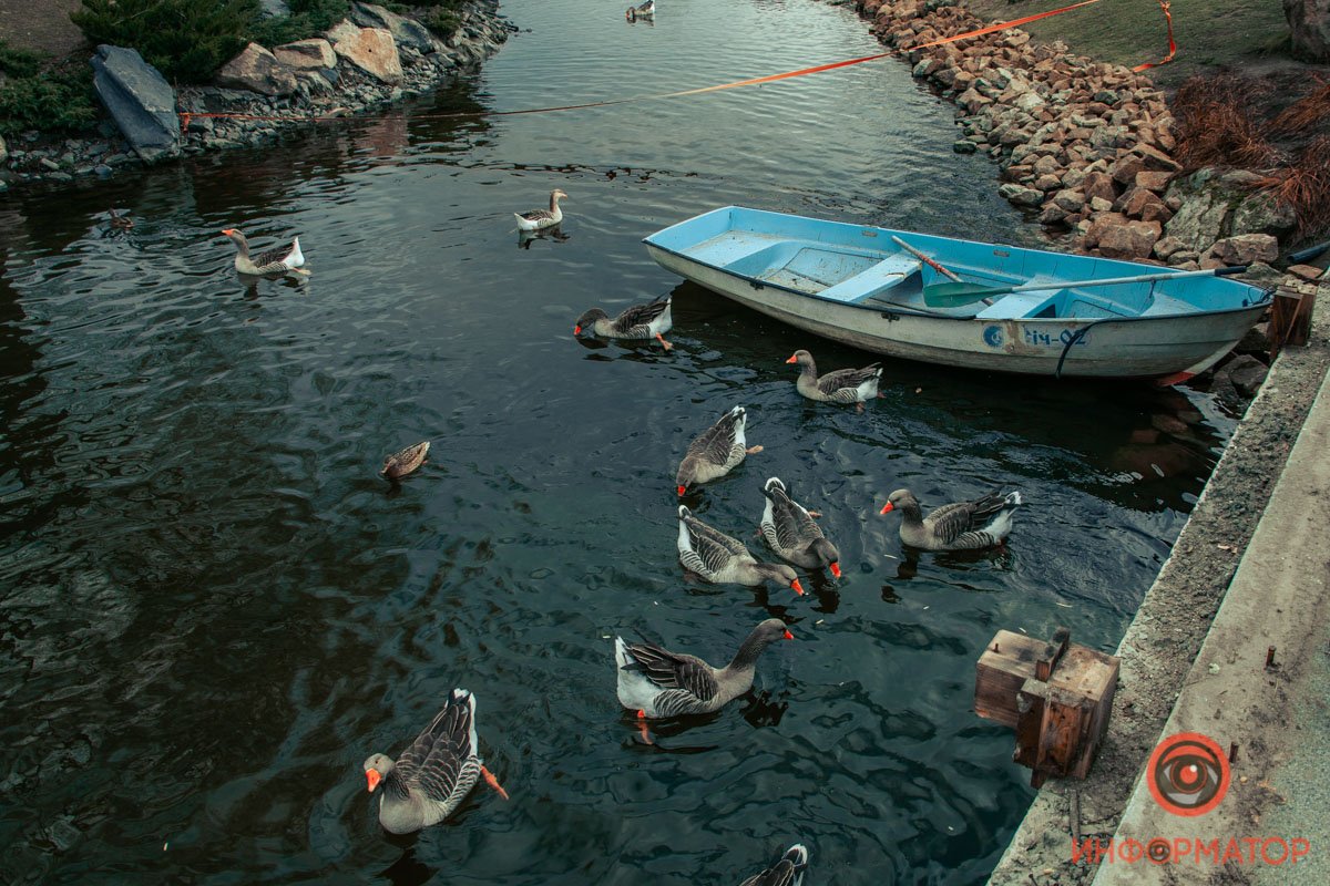 Не теряют аппетита Не теряют аппетита