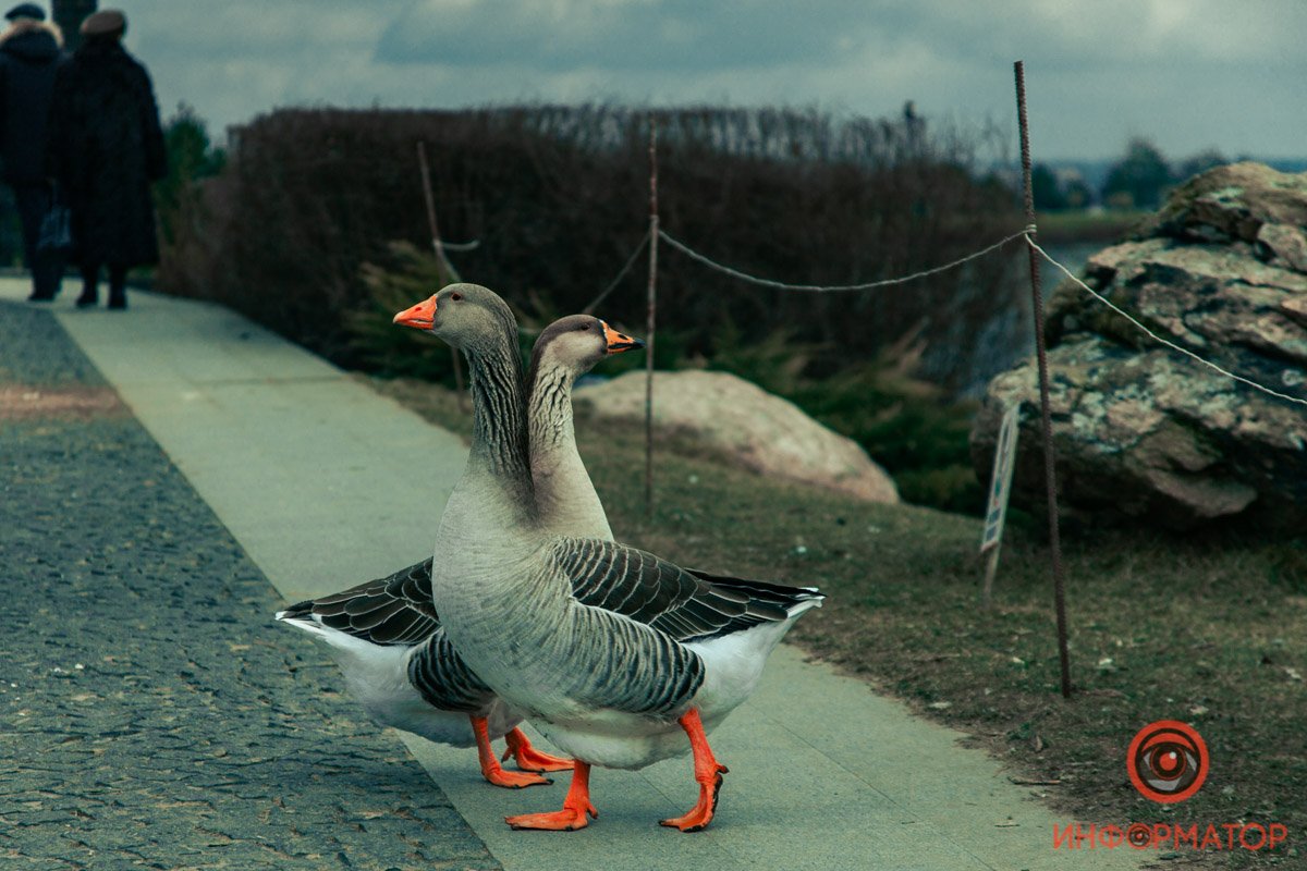 Слились Слились