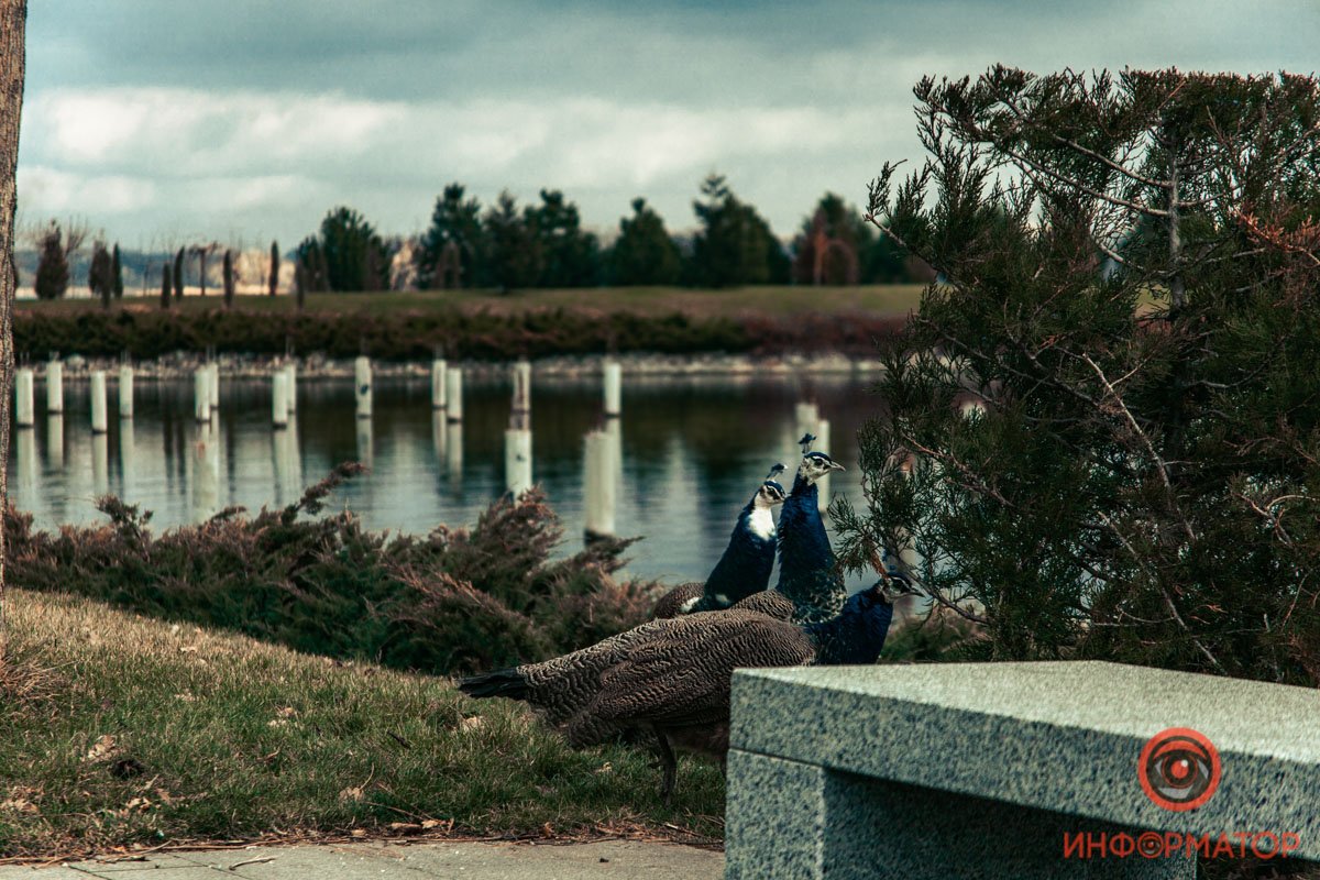 Немного экзотики Немного экзотики