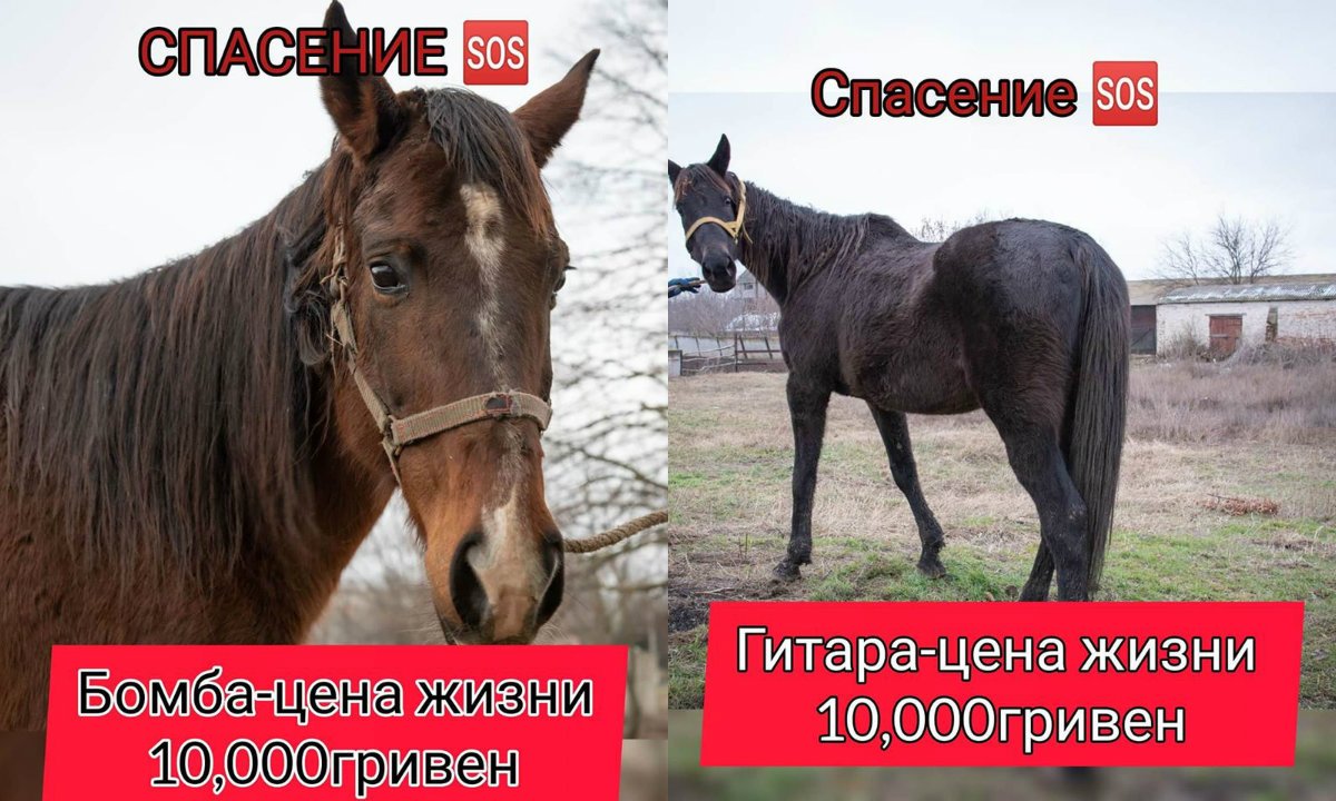 Маленькой помощи не бывает - бывает большое безразличие Маленькой помощи не бывает - бывает большое безразличие