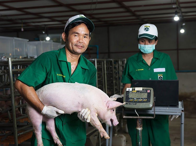 Завод "Потоки" отправил подсолнечный концентрат на исследования в Таиланд 1