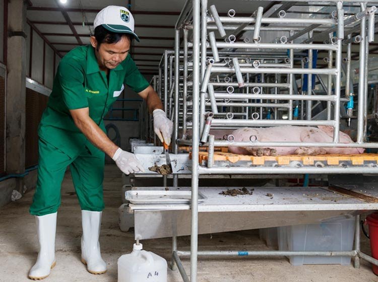 Завод "Потоки" отправил подсолнечный концентрат на исследования в Таиланд 2