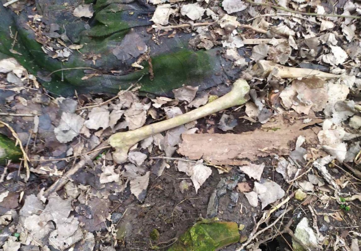 В Днепре в парке "Зеленый Гай" нашли человеческую кость и череп 1