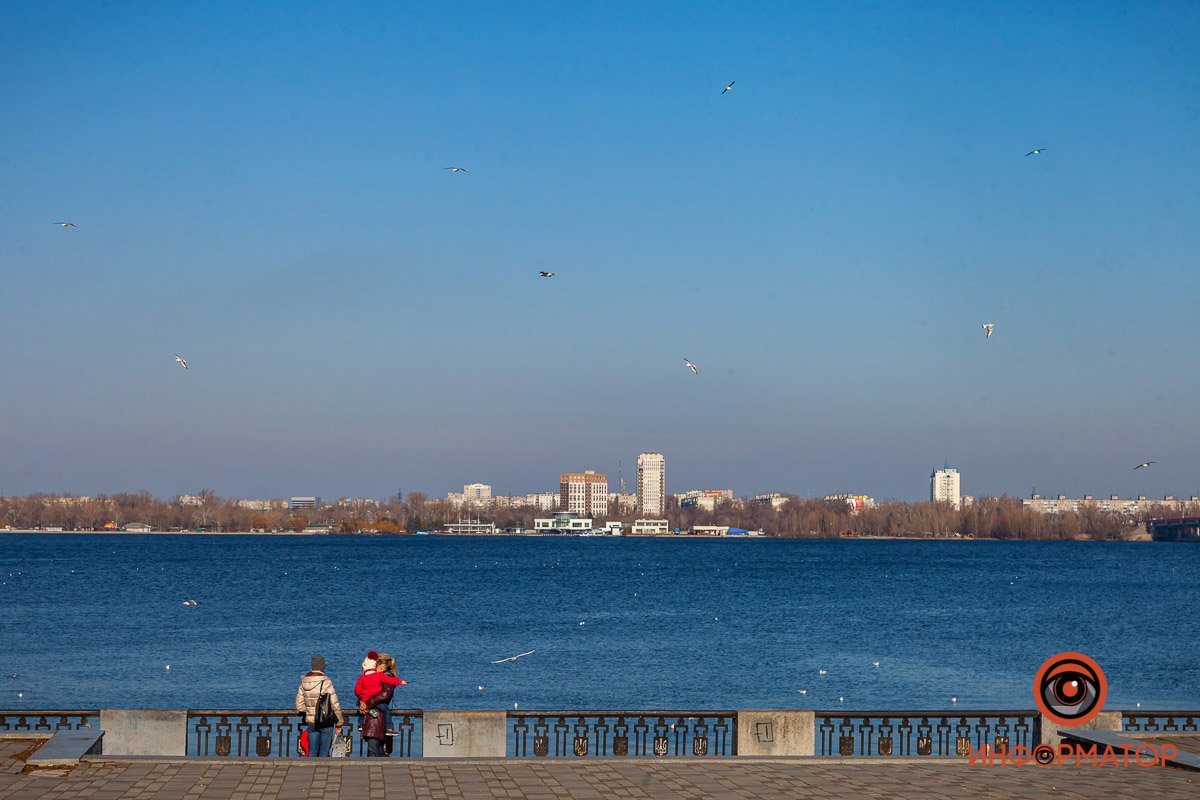 Птицы разносят по городу весну Птицы разносят по городу весну