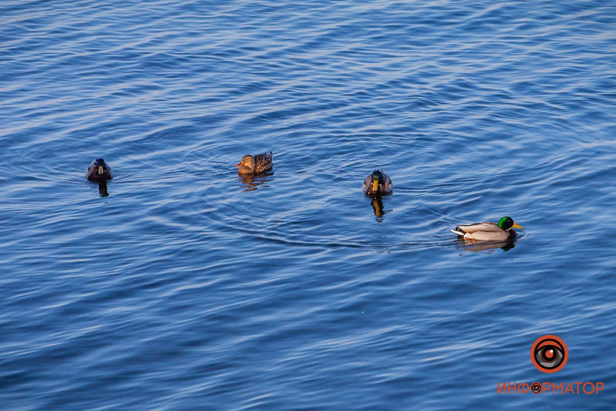 Захотелось на пляж Захотелось на пляж