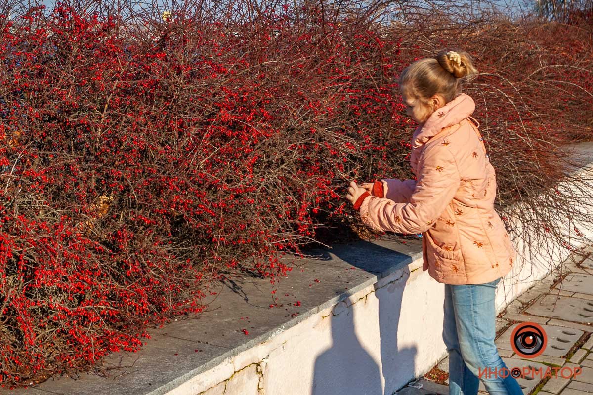 Грех не сфотографировать Грех не сфотографировать