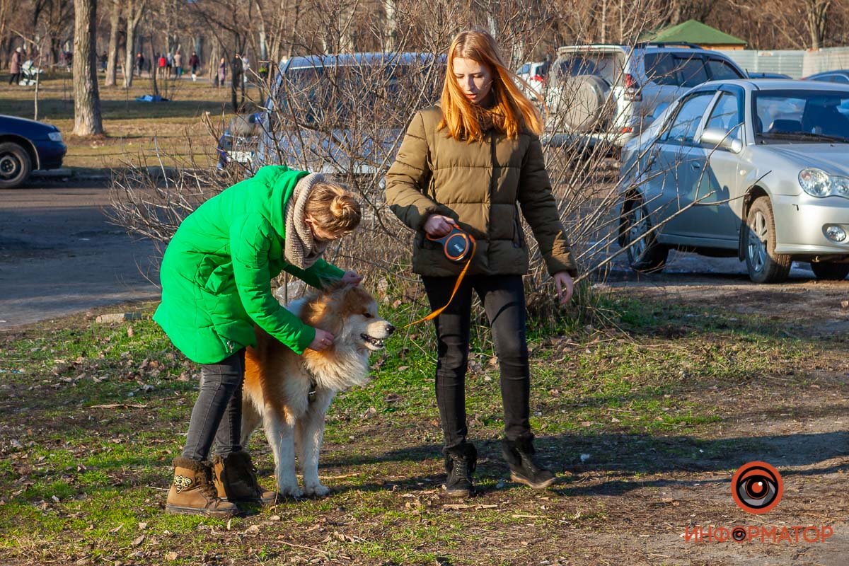 Собакен доволен погодой Собакен доволен погодой