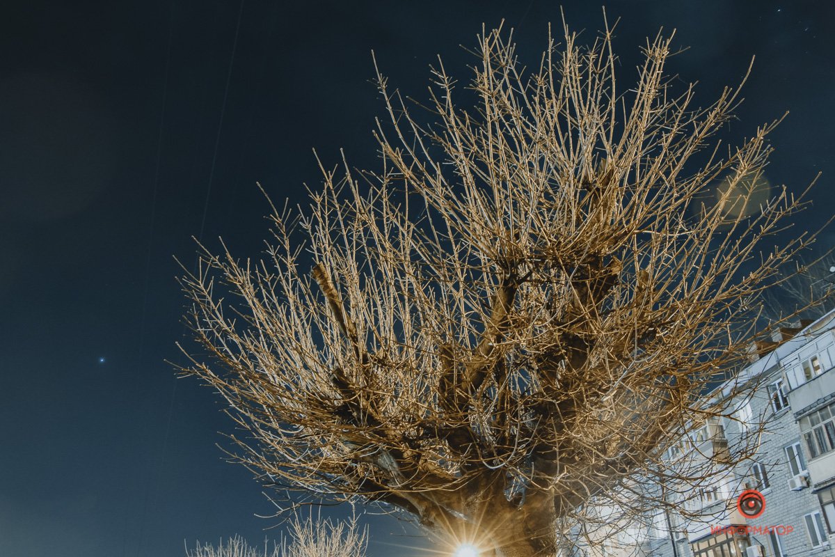 В ожидании весны