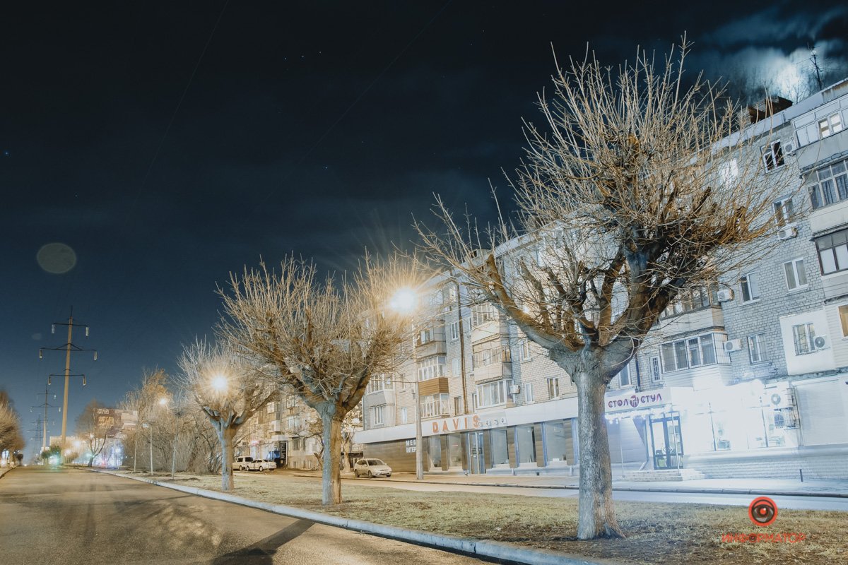 Подрагивают от ветра