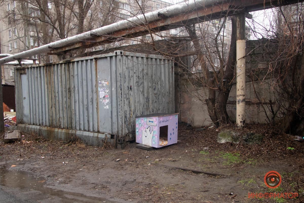 Теперь собакам есть, куда идти Теперь собакам есть, куда идти