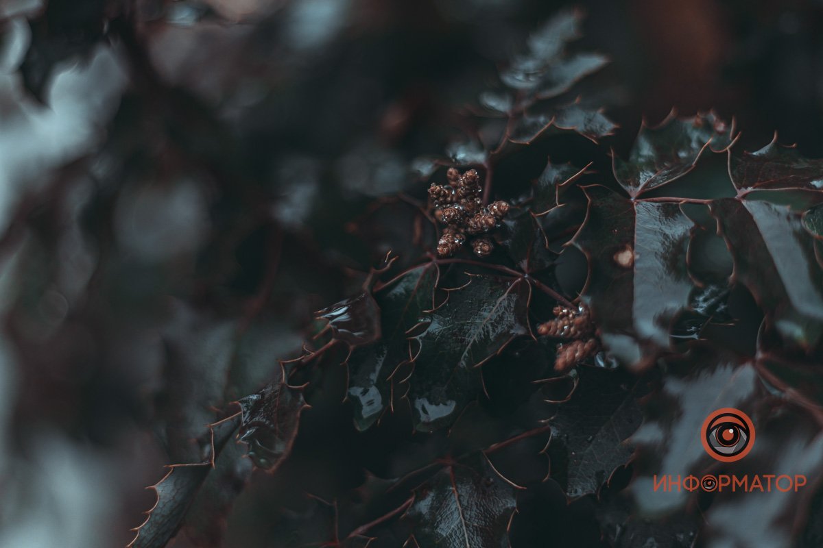 Днепр - сама гармония. Вопреки всему. Днепр - сама гармония. Вопреки всему.