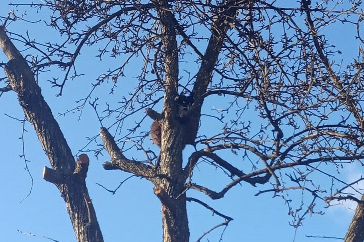 Я не трус, но я боюсь