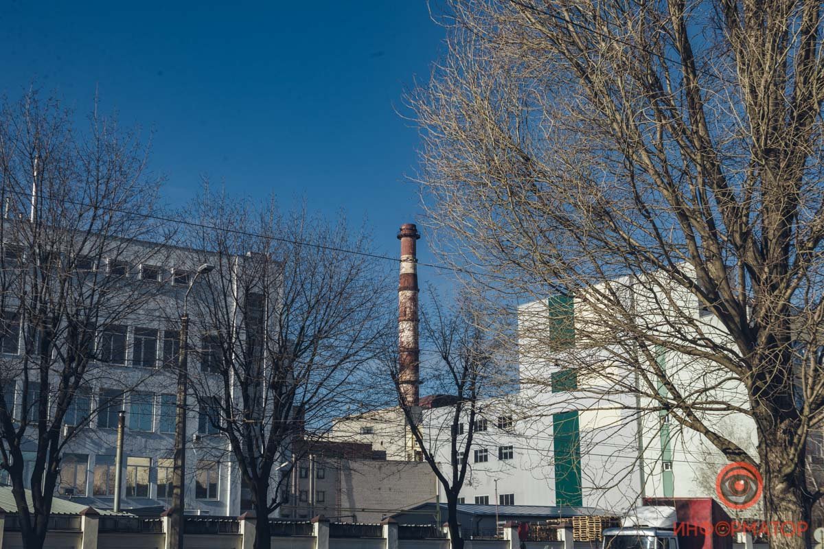 Для весеннего настроения на кронах так не хватает зеленой листвы 