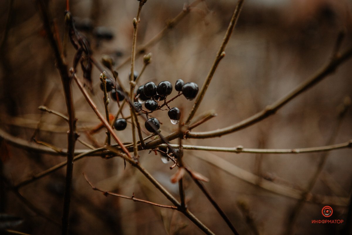 А шапку все-таки наденьте А шапку все-таки наденьте