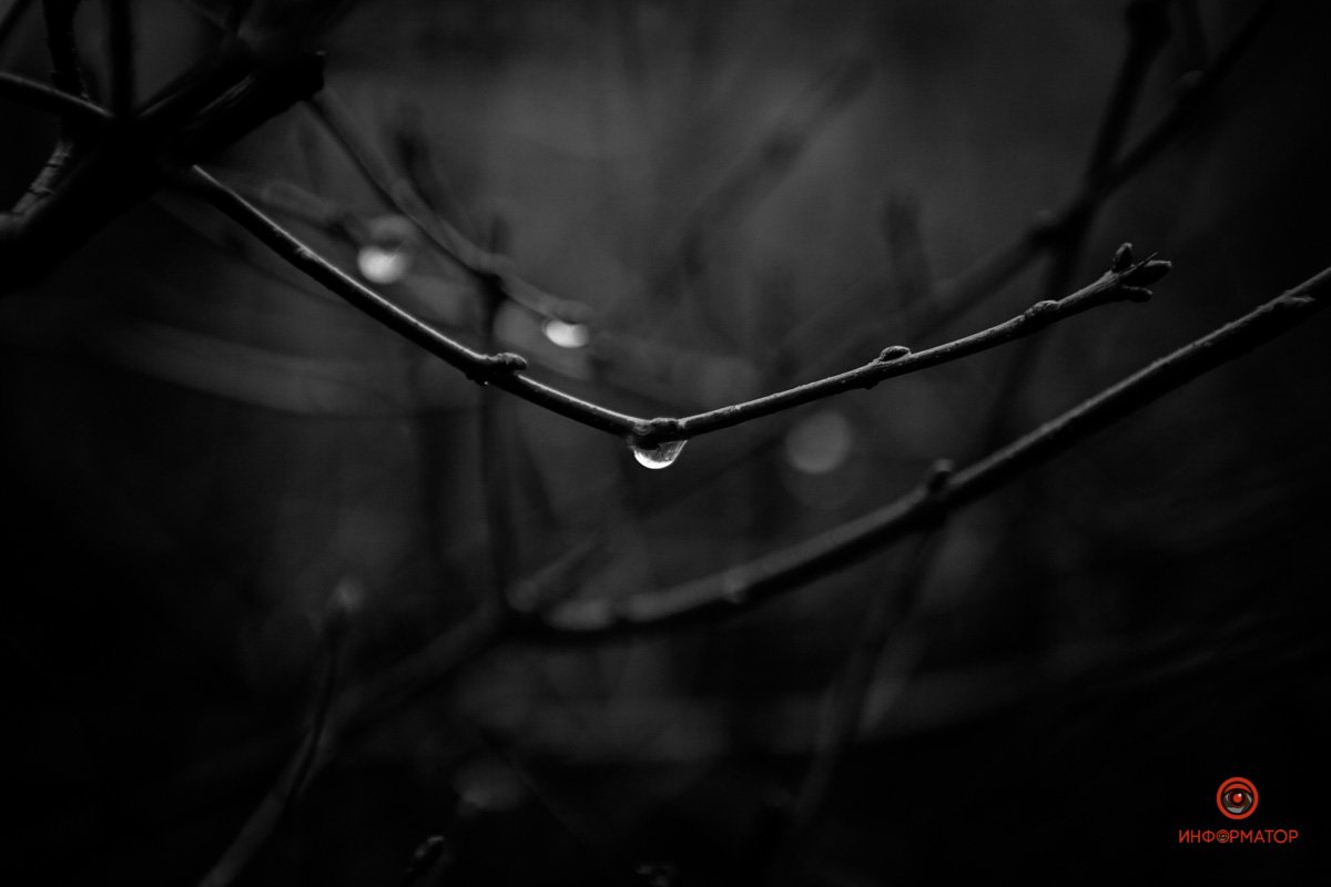 А, может, даже шарф А, может, даже шарф