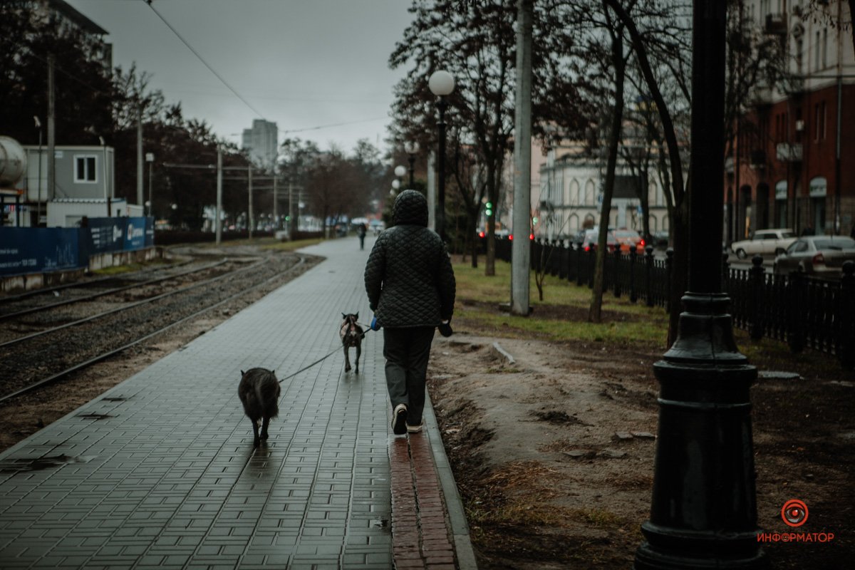 Хорошо бы в такую погоду сидеть дома Хорошо бы в такую погоду сидеть дома