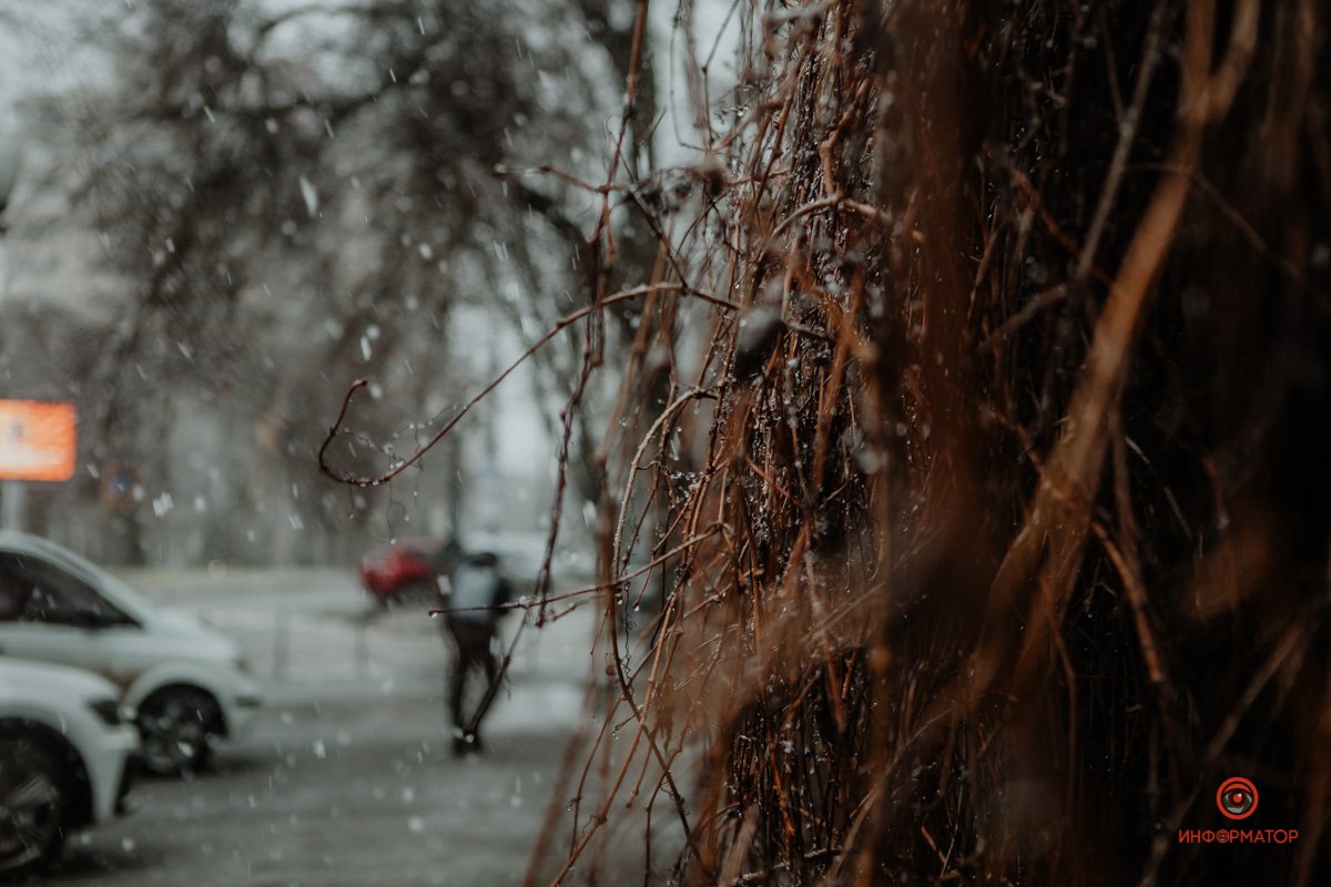 Мы расскажем вашей маме, что вы без шапки Мы расскажем вашей маме, что вы без шапки