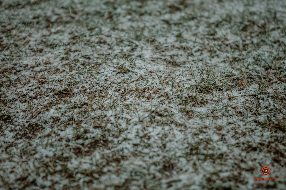 Мы все его ждали Мы все его ждали