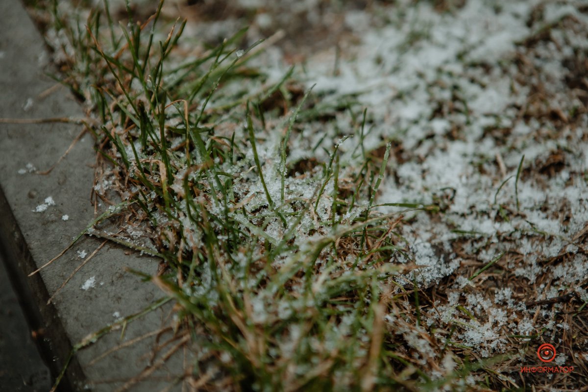 Надеемся, весна придет вовремя Надеемся, весна придет вовремя